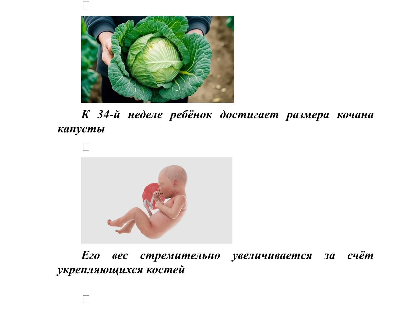 IMG_4340.jpg IMG_4340.jpg