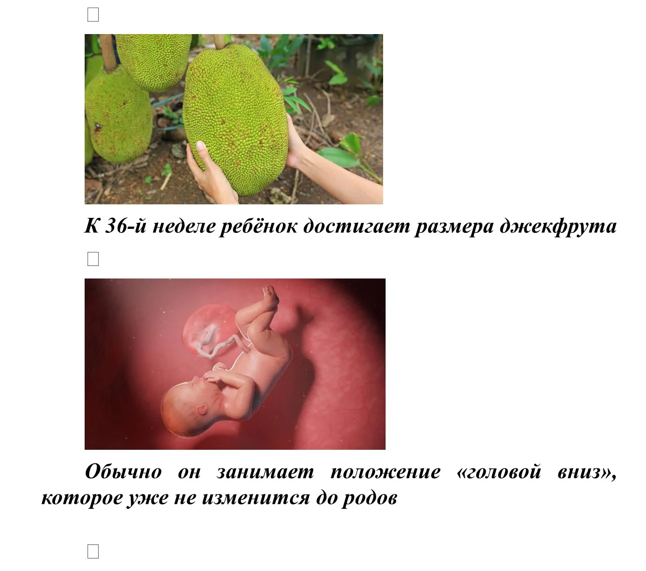 IMG_4342.jpg IMG_4342.jpg