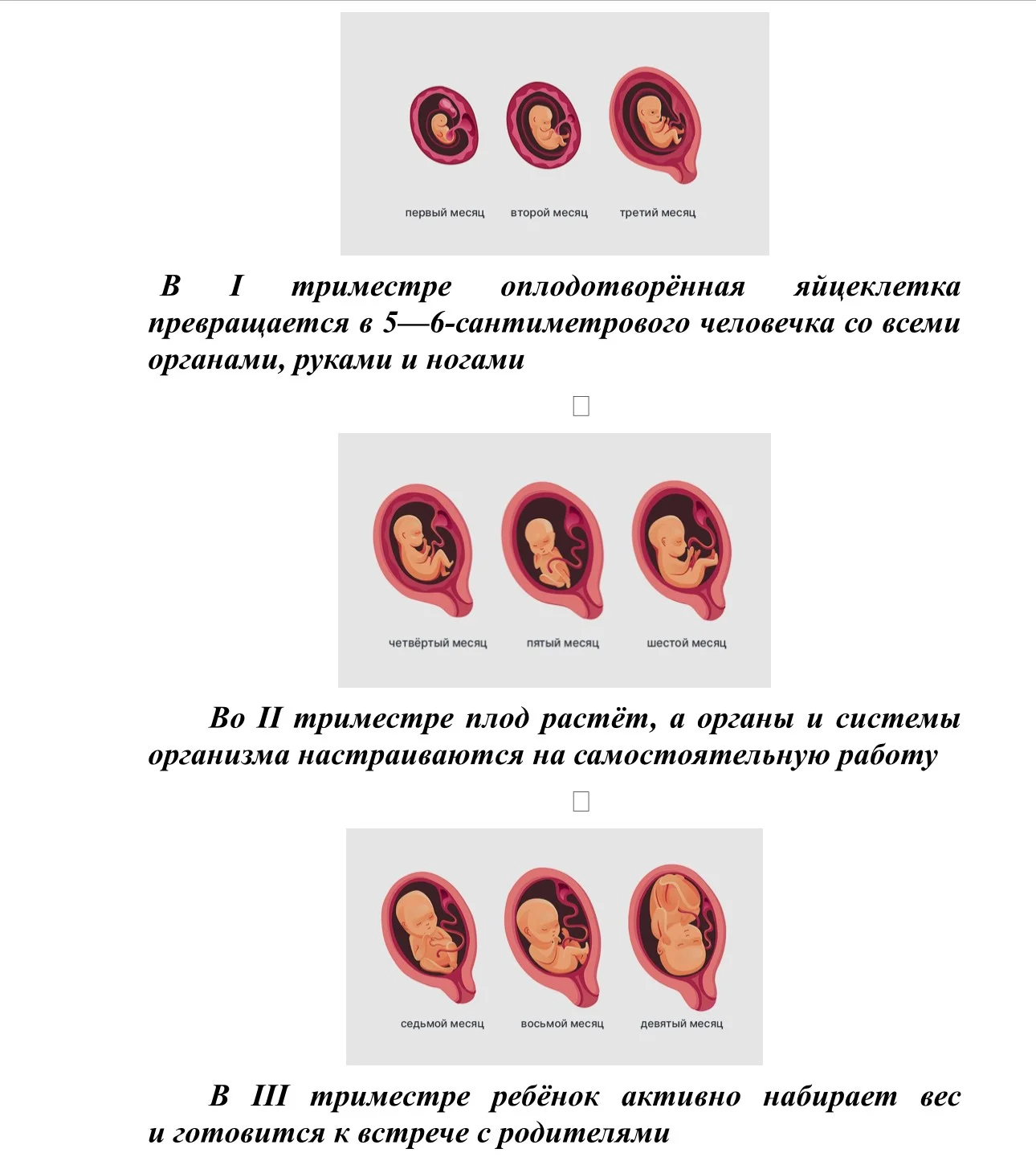 IMG_4324.jpg IMG_4324.jpg