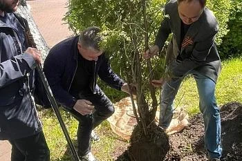 Сотрудники регионального минздрава и главные врачи лечебных учреждений заложили «Сад Победы» в Калининграде Сотрудники регионального минздрава и главные врачи лечебных учреждений заложили «Сад Победы» в Калининграде